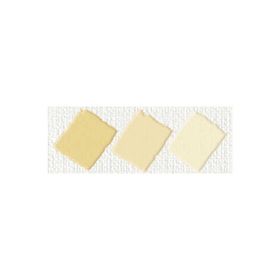 Nerchau Hobby Glossy Bambu Sarı 59 ml Akrilik Boya