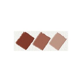 Nerchau Hobby Orta Kahverengi 59 ml Akrilik Glossy