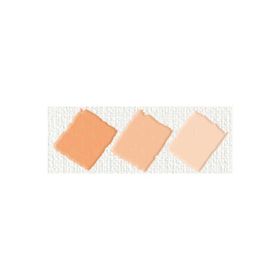 Nerchau Hobby Salmon 59 ml Akrilik Glossy