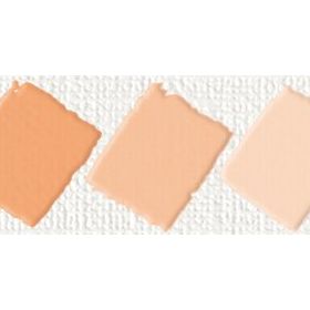 Nerchau Hobby Salmon 59 ml Akrilik Glossy