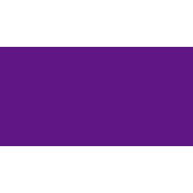Nerchau Violet 59 ml İpek Boyası