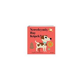 Neredeymiş Bay Köpek? - Domingo Yayınevi