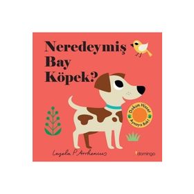 Neredeymiş Bay Köpek? - Domingo Yayınevi