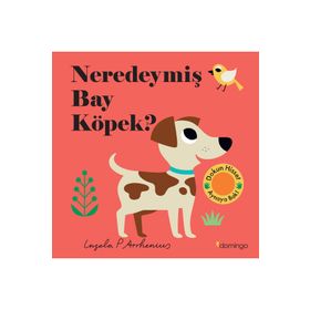 Neredeymiş Bay Köpek? - Domingo Yayınevi