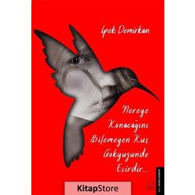 Nereye Konacağını Bilmeyen Kuş Gökyüzünde Esirdir-İpek Demirkan