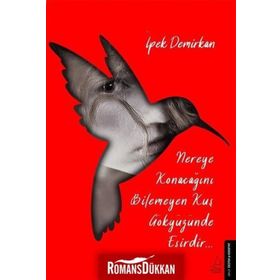 Nereye Konacağını Bilmeyen Kuş Gökyüzünde Esirdir-İpek Demirkan
