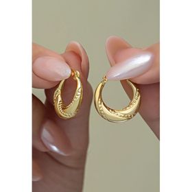 Nereze 925 Ayar Gold Kaplama Taşsız Noktalı Şarnel Kadın Gümüş Küpe