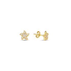 Nereze 925 Ayar Minik Gold Deniz Yıldızı Kadın Gümüş Küpe