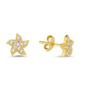 Nereze 925 Ayar Minik Gold Deniz Yıldızı Kadın Gümüş Küpe