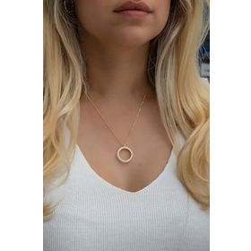 Nereze NRZ998522 925 Ayar Gold Kaplama Çerçeveli Çeyreklik Kadın Gümüş Kolye