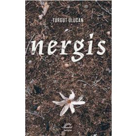 Nergis - Adnan İfran