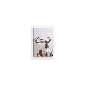 Nesin Yayınevi Antilop Defter