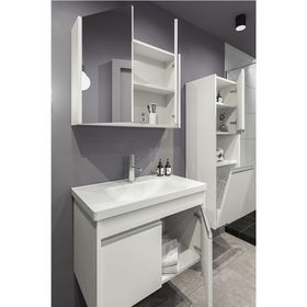 Netdeko Begonya 80 cm Banyo Dolabı BOY DOLAP DAHİL