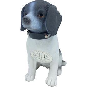 Nettech CH-M241 Dogi Dijital Bluetooth Hoparlör