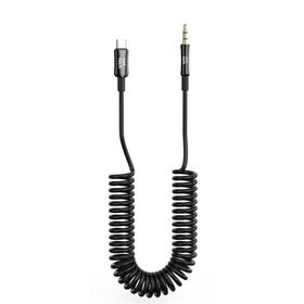 Nettech NT-AC09 Plastik 100 cm Akardiyon Type-C to Siyah Aux Kablosu