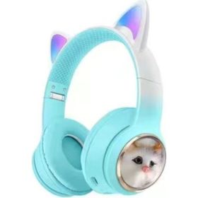 Nettech NT-BTH20 Yeşil Bluetooth Kulaklık