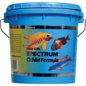 New Life Spectrum Cichlid Formula 100 gr Balık Yemi