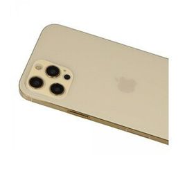 Newface iPhone 12 Pro Rainbow Gold Kamera Lens Koruma Cam