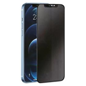 Newface Samsung Galaxy A06 3D Antistatik Hayalet Cam Ekran Koruyucu