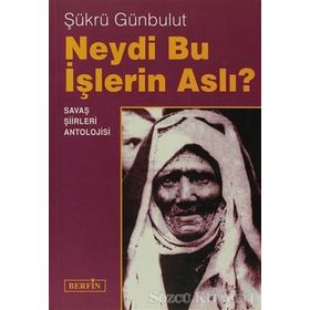 NEYDI BU IŞLERİN ASLI - ŞÜKRÜ GÜNBULUT