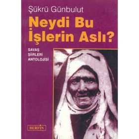 NEYDI BU IŞLERİN ASLI - ŞÜKRÜ GÜNBULUT