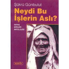 NEYDI BU IŞLERİN ASLI - ŞÜKRÜ GÜNBULUT
