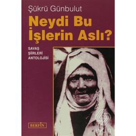 NEYDI BU IŞLERİN ASLI - ŞÜKRÜ GÜNBULUT
