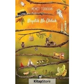 NEYDIK NE OLDUK - MEHMET TÜRKKAN