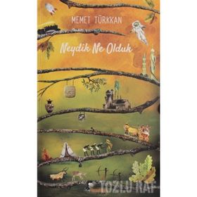 NEYDIK NE OLDUK - MEHMET TÜRKKAN