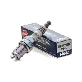 NGK BKR7EIX Buji