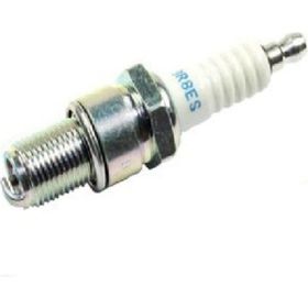 NGK BR8ES Buji