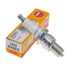 NGK BR8ES Buji