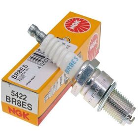 NGK BR8ES Buji