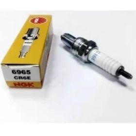 NGK CR6E Buji