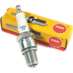 NGK DR6HS Marin Buji