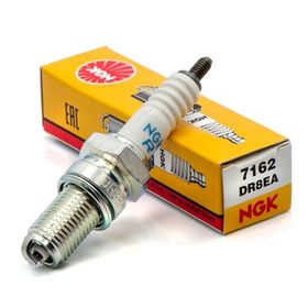 NGK DR8EA Marin Buji