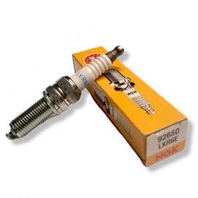 NGK LKR6E Buji