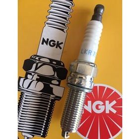 NGK LKR7E Buji