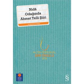 NIDÂ ODAĞINDA AHMET TELLI ŞİİRİ - AHMET TELLI