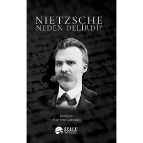 Nietzsche Neden Delirdi Ayşe Şirin Çakmakçı