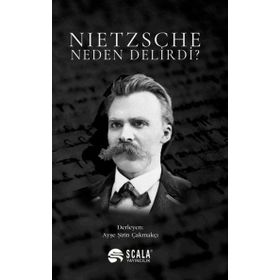 Nietzsche Neden Delirdi Ayşe Şirin Çakmakçı