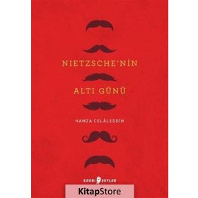Nietzsche'nin Altı Günü - Hamza Celaleddin