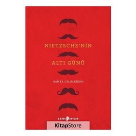Nietzsche'nin Altı Günü - Hamza Celaleddin