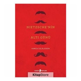Nietzsche'nin Altı Günü - Hamza Celaleddin
