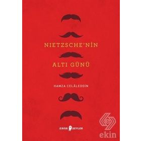 Nietzsche'nin Altı Günü - Hamza Celaleddin