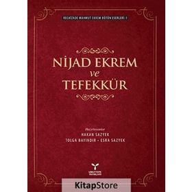 Nijad Ekrem ve Tefekkür - Recaizedi Mahmut Ekrem
