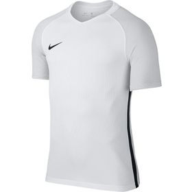 Nike 833017-657 Ss Revolution Iv Jsy Kısa Kol Erkek Forma