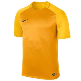 Nike 881483-739 Sarı Erkek Forma