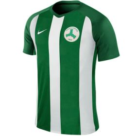 Nike 894345-302 Erkek Forması