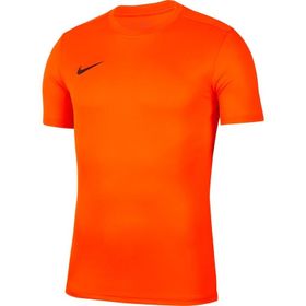 Nike BV6708-819 Erkek Şort